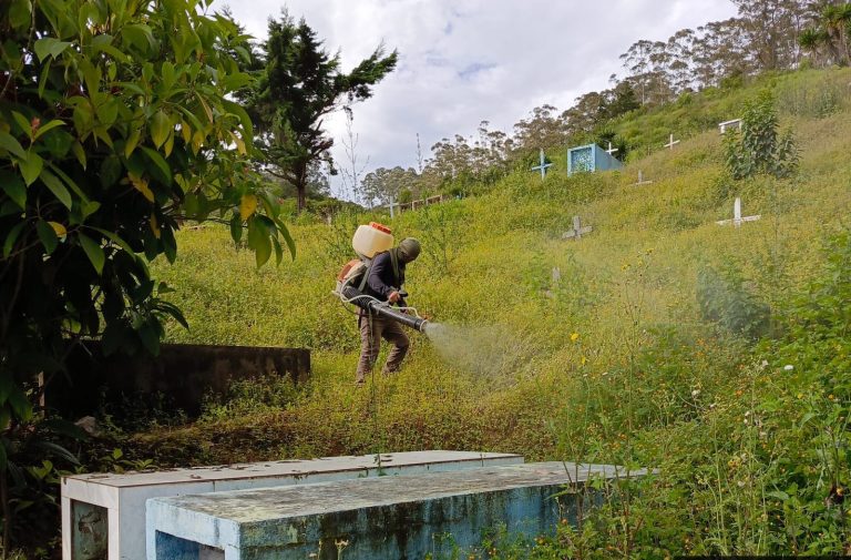 Fumigación en la Parroquia