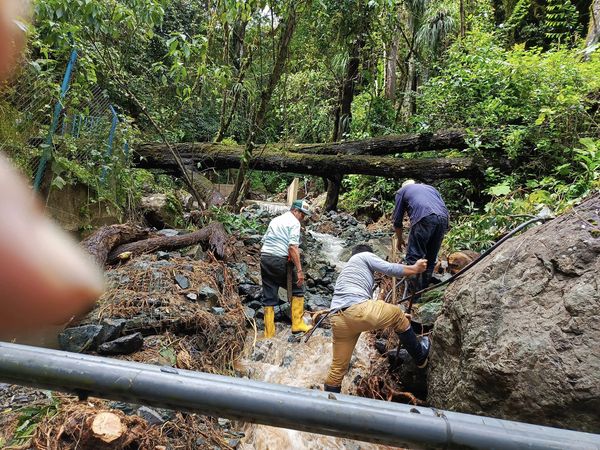 Afectaciones por lluvias