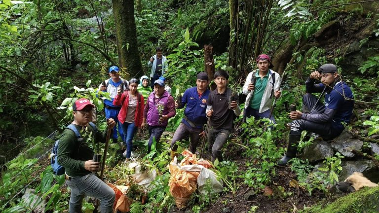 Cumplimos con exito la CAMPAÑA DE REFORESTACIÓN NUEVA FÁTIMA 2025