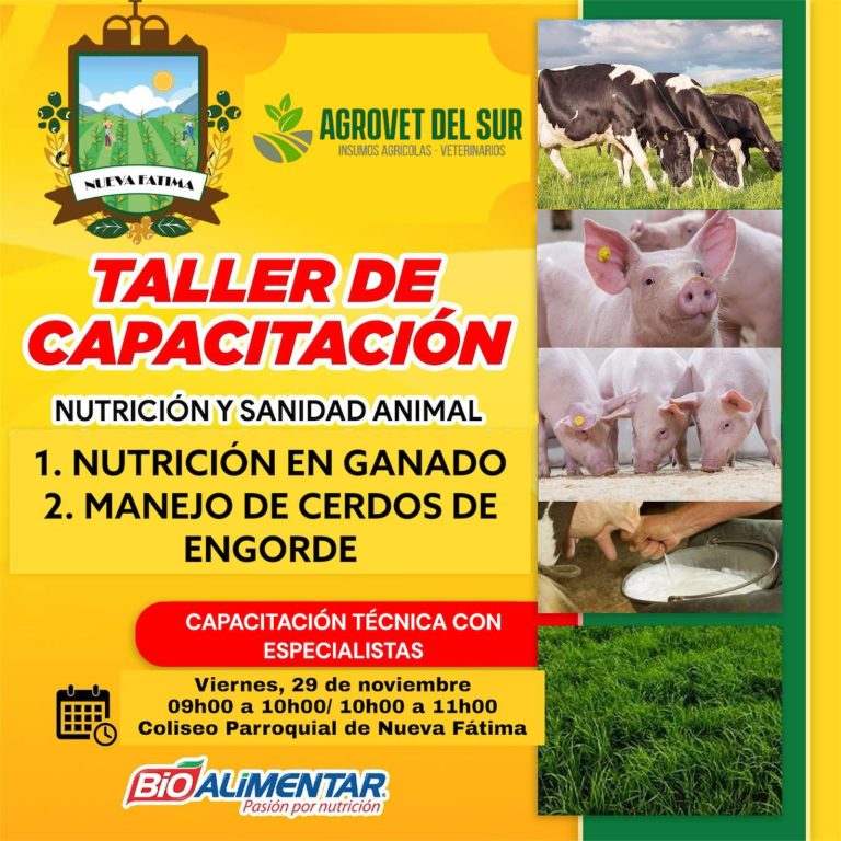 Taller de capacitación