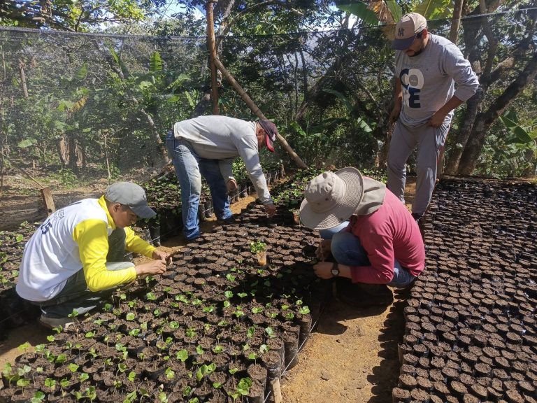 Trabajamos en el Vivero de Agroforestales